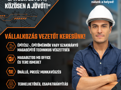 Állás vállalkozás vezető